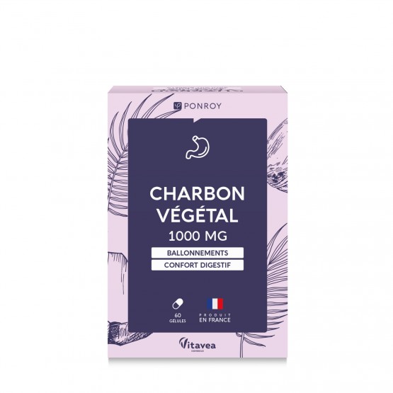 Charbon végétal 1000 mg
